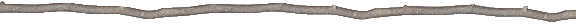 http://www.cathjack.ch/images/lignes/branche.gif